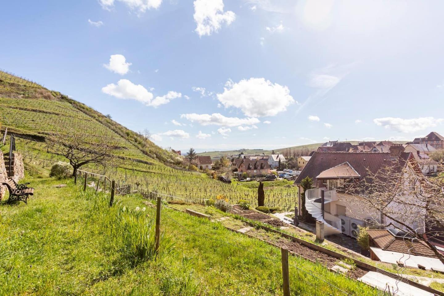 Les Glycines Du Sommerberg Niedermorschwihr Ngoại thất bức ảnh